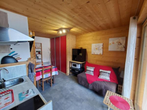 Chaleureux 2 pièces avec terrasse à Seez Seez